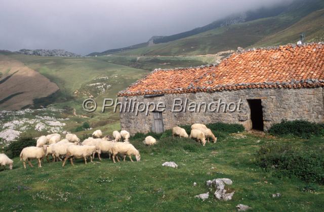 espagne asturies 03.JPG - Invernales (refuges) de Caballar près de SotresAsturies, Espagne